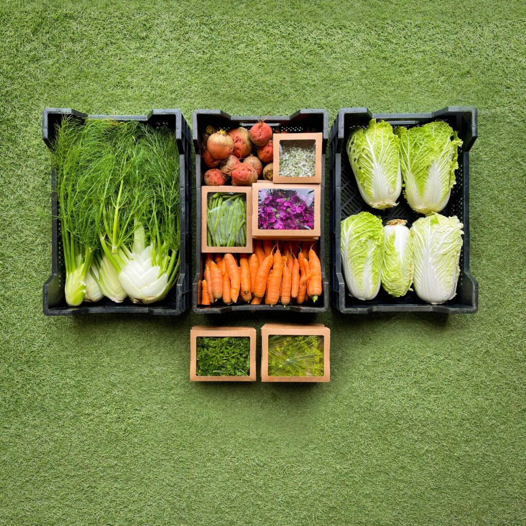 Ordered vegetables