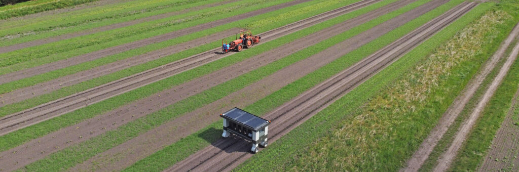 Velhorst strokenteelt